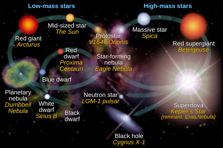 Star Life-cycle